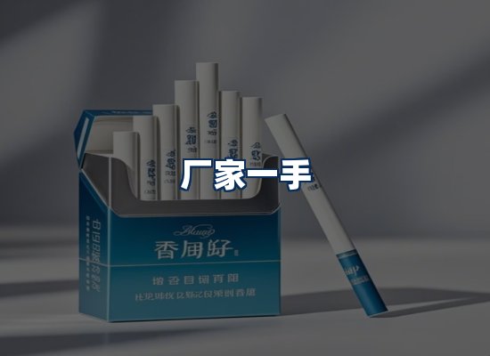 专业团队办公环境